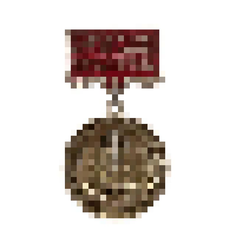 Знак нагрудный. "За отличную работу в культпросветучреждениях профсоюзов" Коваленко Г.Д. Вручен 4 сентября 1986 г