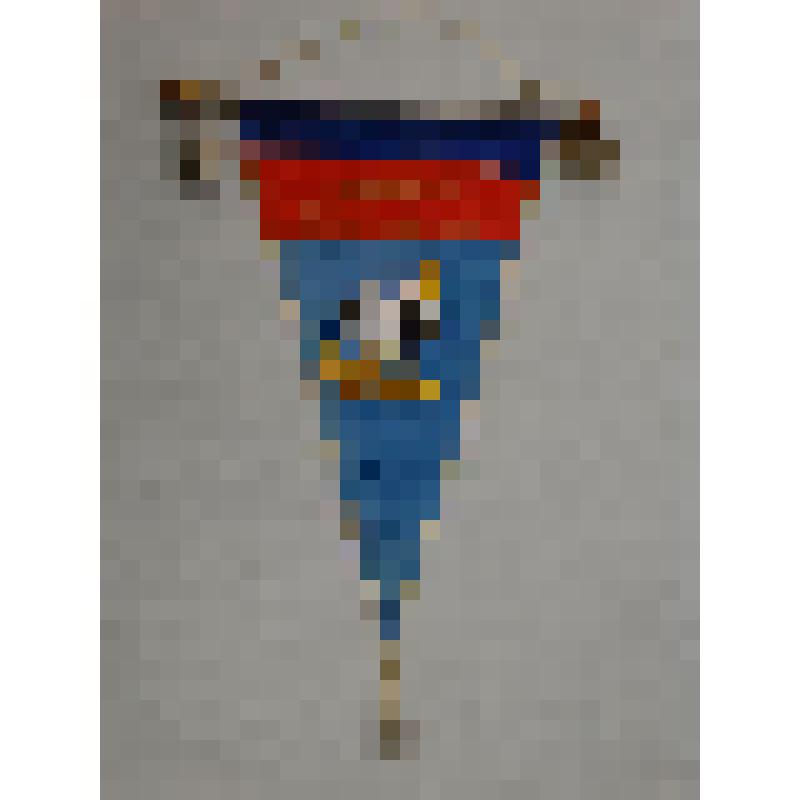 Вымпел подарочный команде Кировской области -участнице первенства РСФСР по вольной борьбе от спортсменов ДСО "Труд"