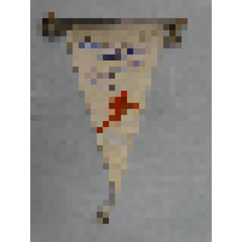 Вымпел подарочный команде Кировской области -участнице первенства РСФСР по вольной борьбе от спортсменов ДСО "Труд"