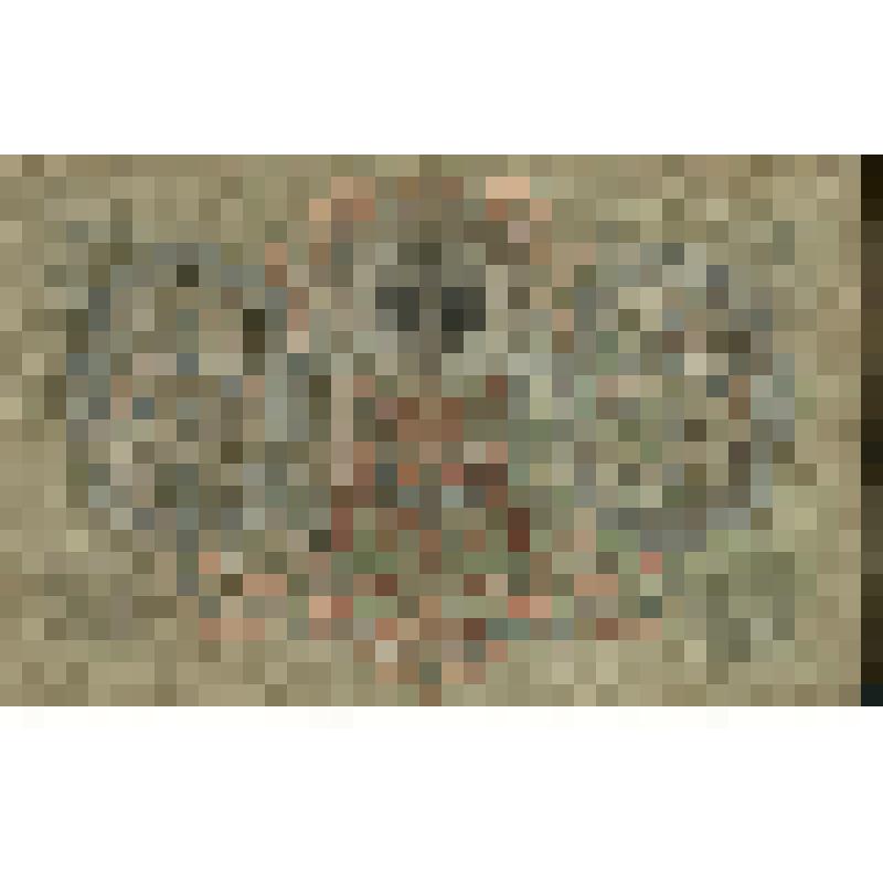 Государственный кредитный билет