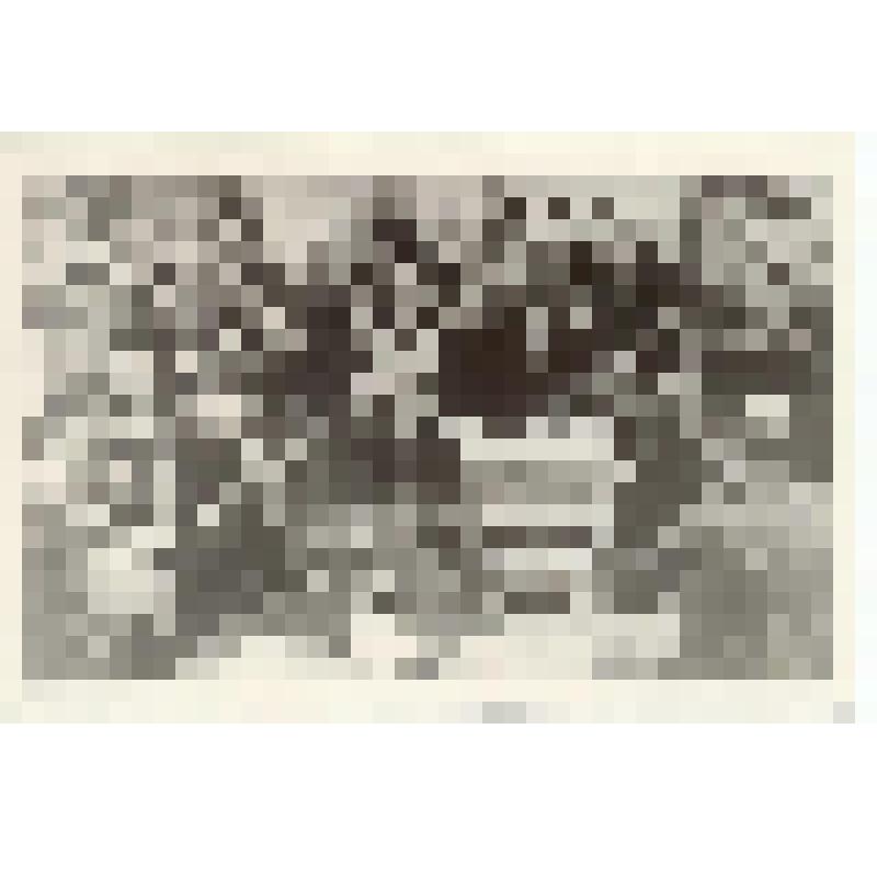 Фотоснимок. Собрание рабочих п. Ольховца после войны (по истории Подпорожского района XIX - XX вв.)