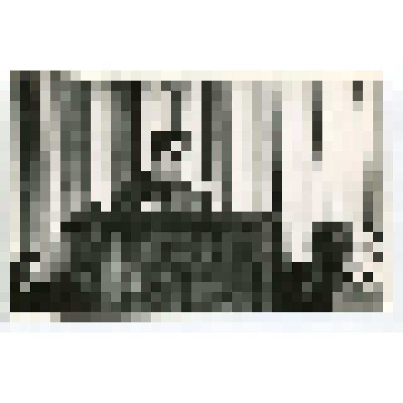 Фото портрет поясной. Космонавт Зудов Вячеслав Дмитриевич