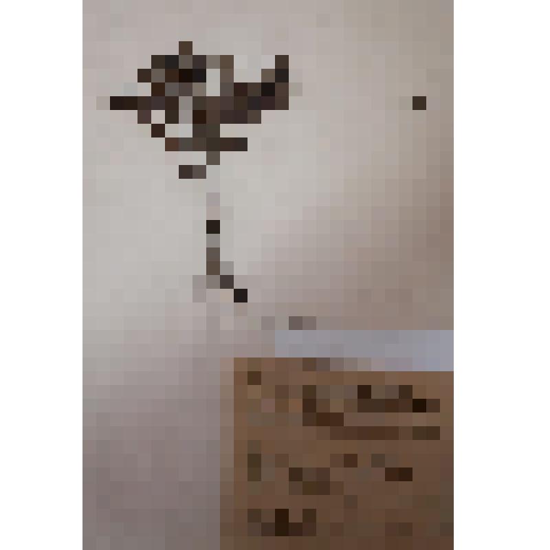 Брусника обыкновенная