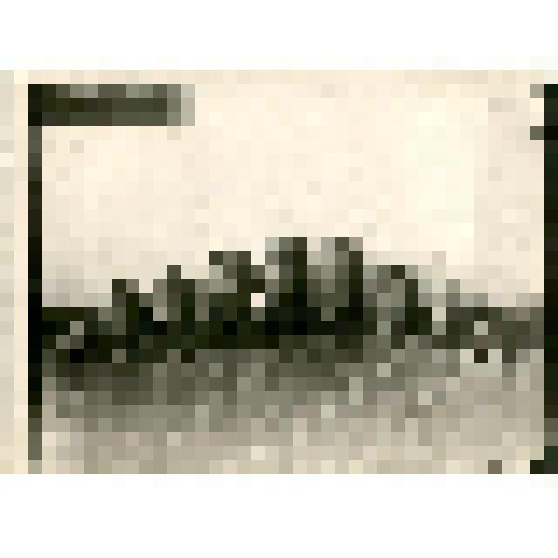 Фотография. Чороны