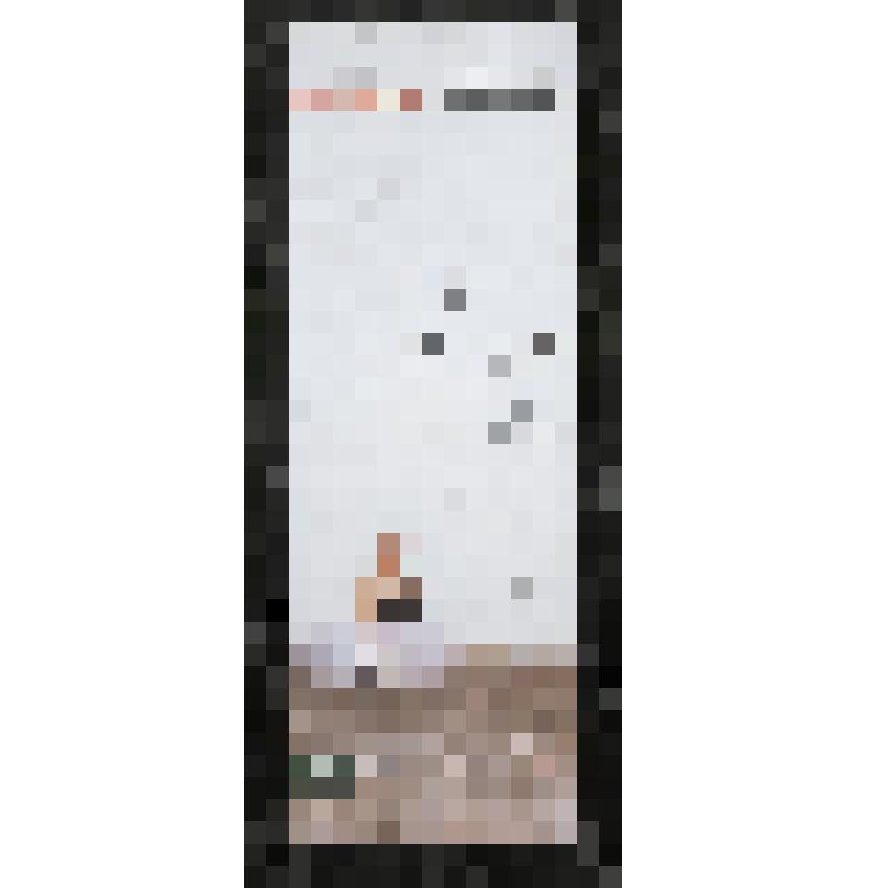 Программа с фотоизображением. "Жизель, или Вилисы" (Балетмейстеры-постановщики - Большакова Н., Гуляев В. Дирижер - Богорад А. Художник-постановщик - Войтенко А.). Екатеринбург, Государственный академический театр оперы и балета