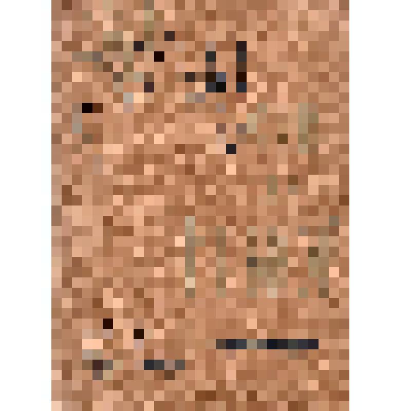 Книга. Зори над Иньвой: