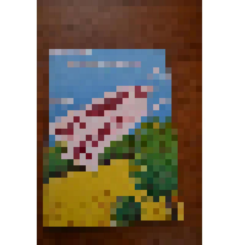 Книга. "Своя ноша не тянет" сборник повестей. ООО "Газетно-книжное издательство". Набережные Челны. 2002