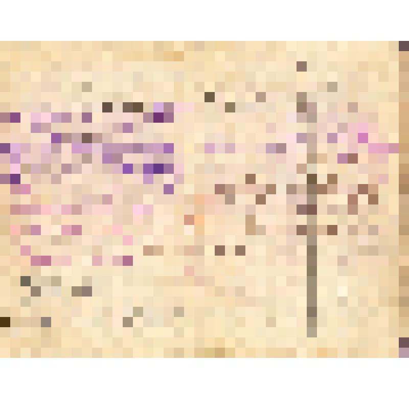 Красноармейская книжка Березниченко Егора Филимоновича