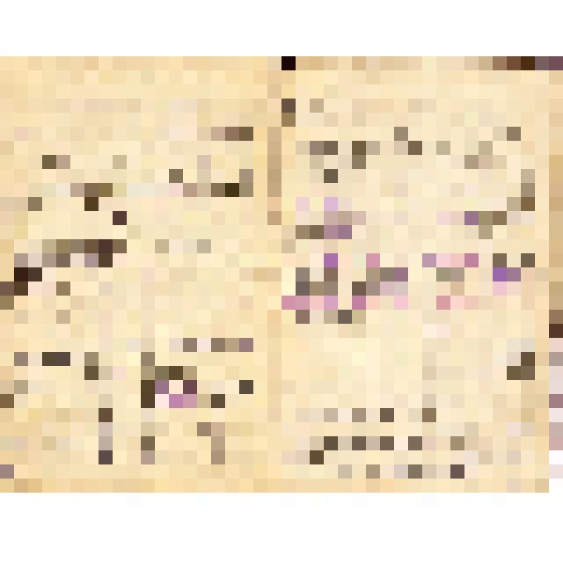 Красноармейская книжка Березниченко Егора Филимоновича