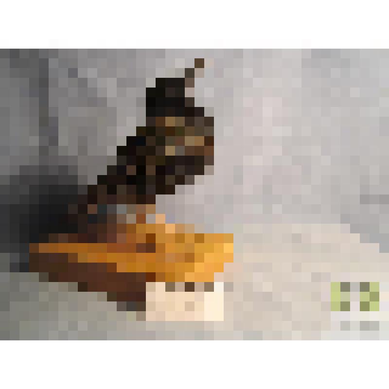 Скворец (Sturnus vulgaris) (L)