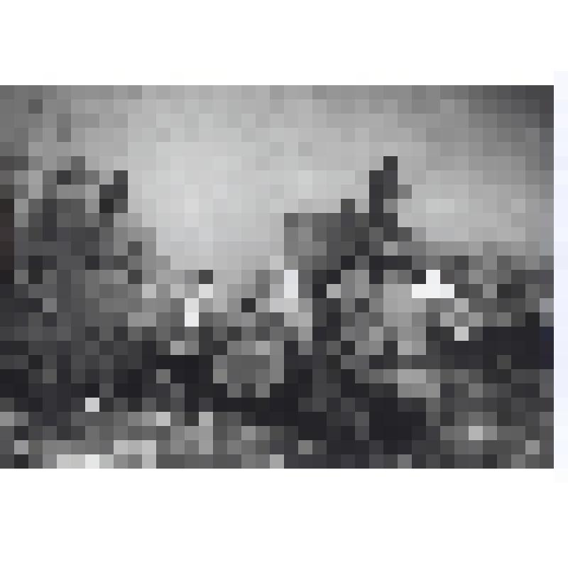 Фотография (сюжетная) "Старики-колхозники Андреевы из села Репное рассказывают бойцам Красной Армии о зверствах немцев во время оккупации"