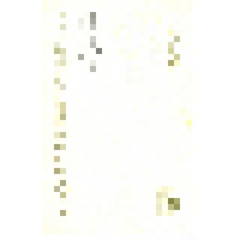 Фото-открытка цветная. Анастасия Вертинская