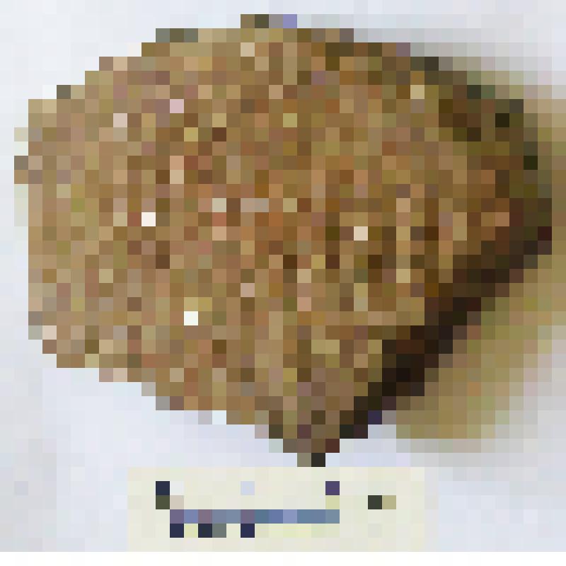 Фрагмент  тулова сосуда