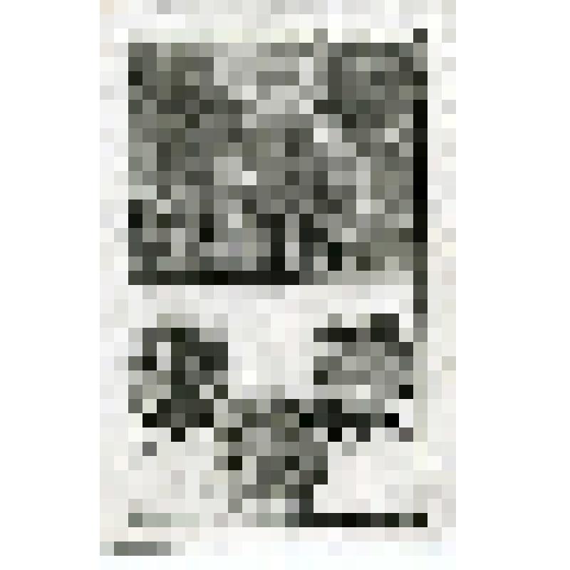 Офорт. Лист 178. Ангел Божий поражает Ирода. Чудо с Евтихием. Павел пред царем Агриппой (Деян. 12, 20, 21, 26)