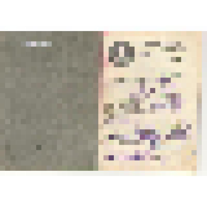 Книжка членская №1419 Буровой Марии Ивановны