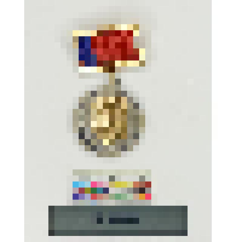 СССР. Медаль им. М.Е. Пятницкого "За успехи в развитии народного творчества РСФСР"