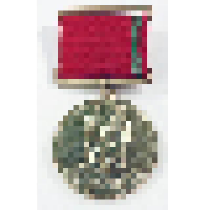 Медаль нагрудная наградная «За заслуги» III степени Украинского Союза ветеранов Афганистана Насонова Геннадия Васильевича, военного летчика-интернационалиста