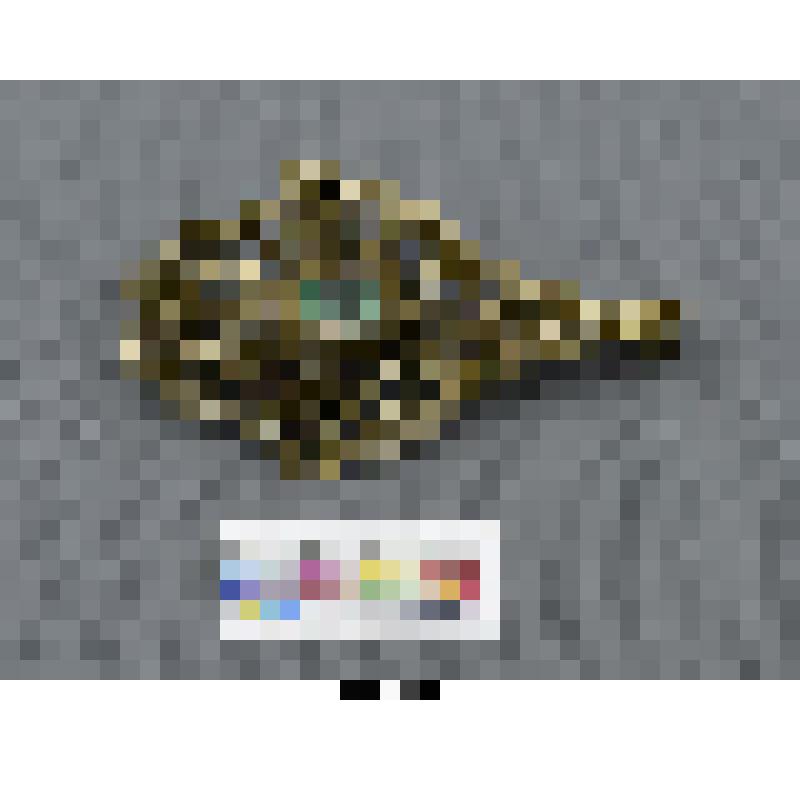 Пряжка (часть)