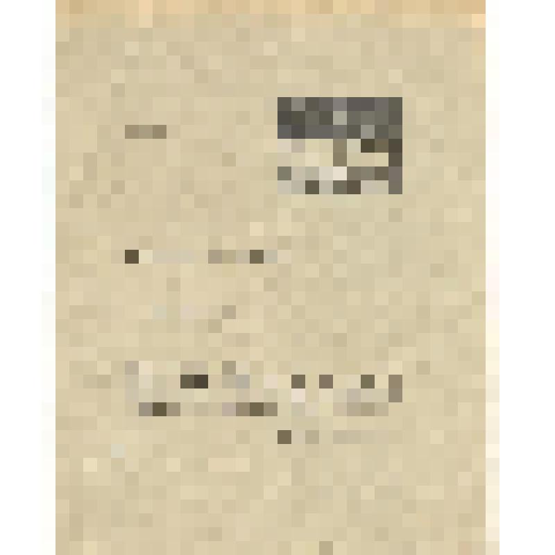 Программа спектакля "Вишневый сад"