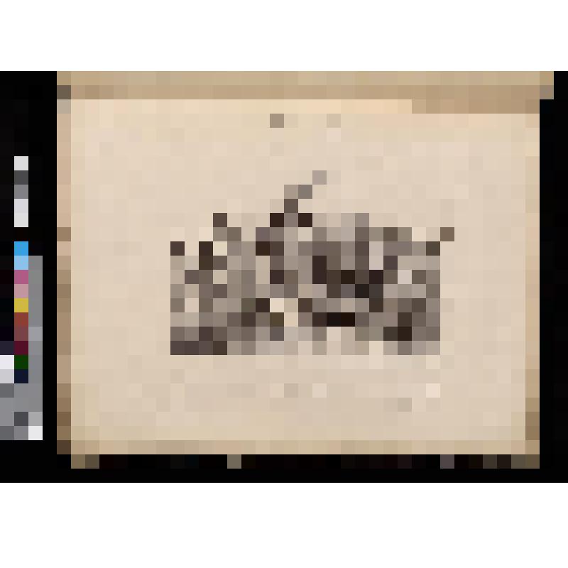 Разгневанный владелец трона