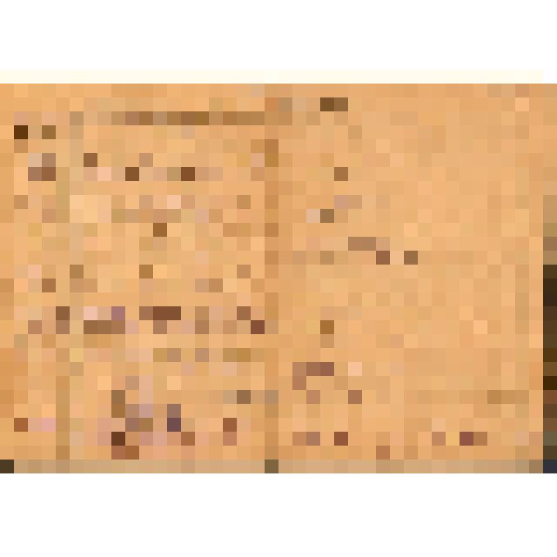 Список трудовой Горшковой Серафимы Павловны. Составлен больницей им. Соловьёва З.П. 19 июля 1929 года. Приведены данные о прохождении службы за период с 1 сентября 1920 г. по 1 декабря 1935 г