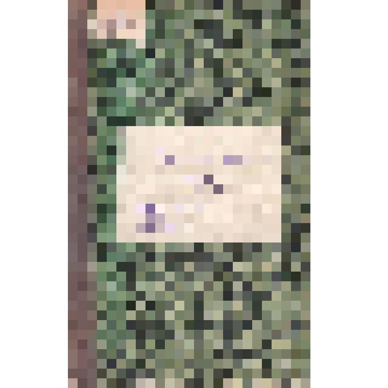 Журнал. Русская мысль. Ежемесячное литературно-политическое издание. Книга 4. М.: Типо-литография Т-ва И.Н. Кушнерев и К., 1908