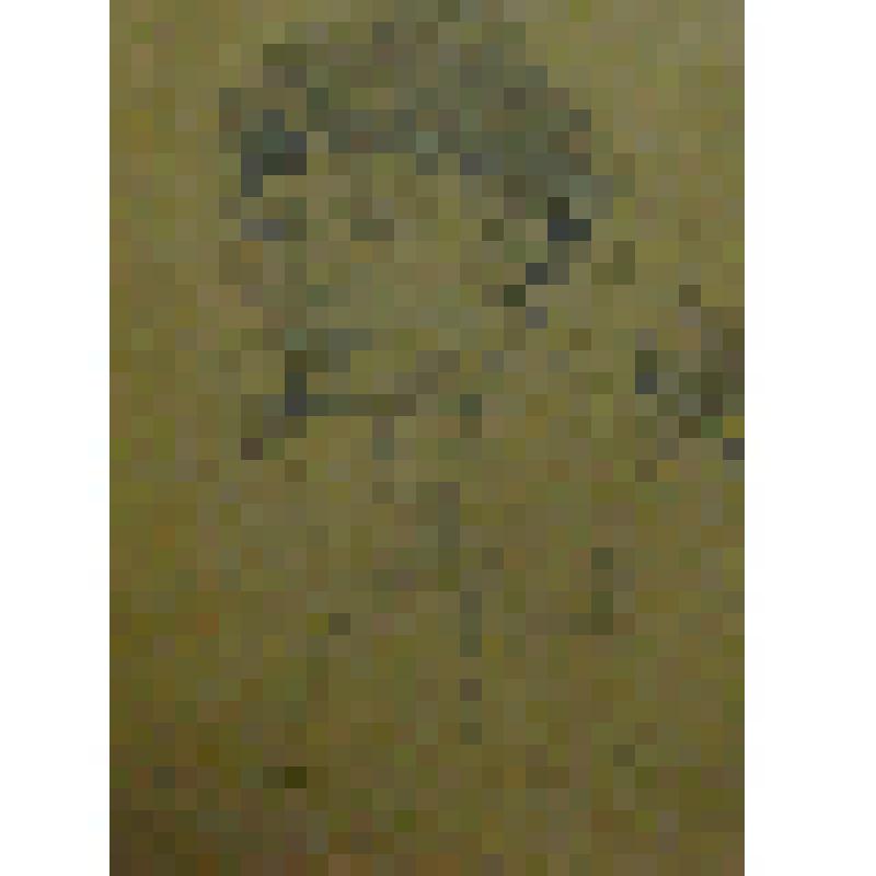 Портрет Наташи Мотовиловой