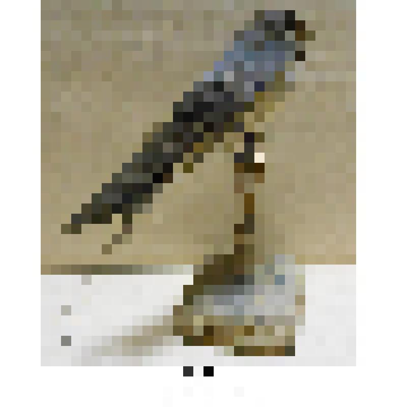 Чучело. Ласточка деревенская