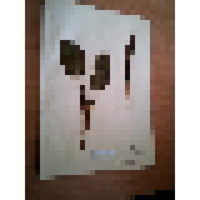 Гербарий, арум восточный