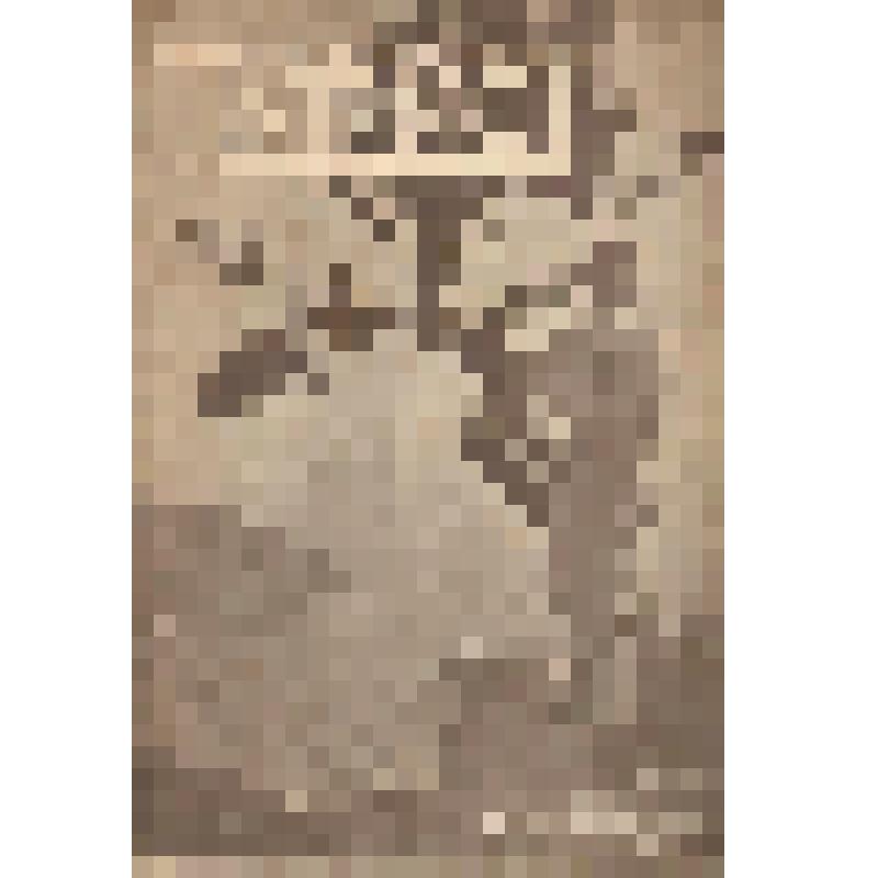 Журнал. "Всемирный турист" №8 1928 г., приложение к  № 8 журнала "Всемирный следопыт"