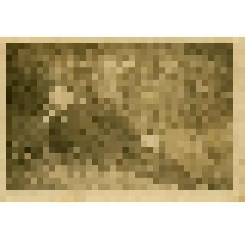 Фото. Крачков Владимир Васильевич -  участник Великой Отечественной войны