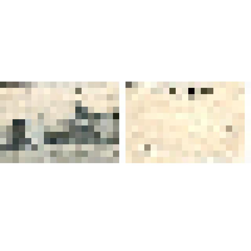 «С.-Петербург. Статуя на Аничковском [Аничковом] мосту», открытка