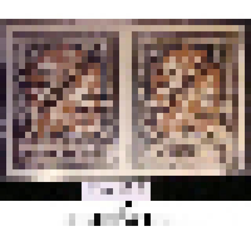 Марок разрешительных сцепка. 2 марки контрольного сбора по заграничному филателистическому обмену номиналом 75 копеек. Черные типографские надпечатки на марках в 10 копеек 1915 г. выпуска