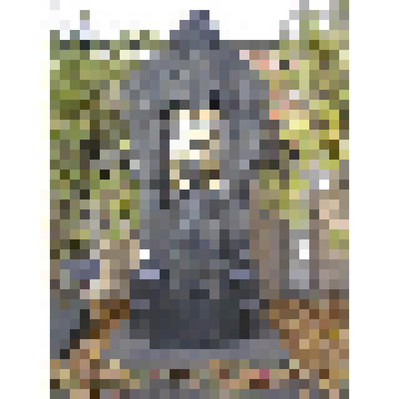 Памятник Бородину Александру Порфирьевичу (1833-1887). Стела с бюстом на постаменте