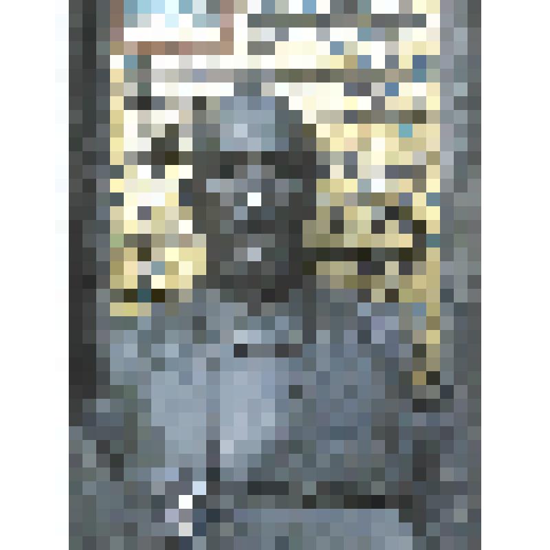 Памятник Бородину Александру Порфирьевичу (1833-1887). Стела с бюстом на постаменте