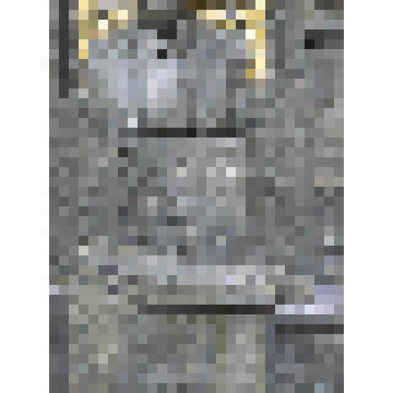 Памятник Бородину Александру Порфирьевичу (1833-1887). Стела с бюстом на постаменте