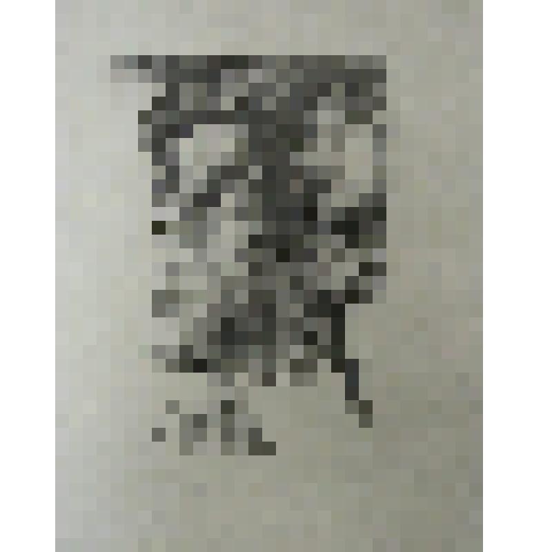Александр Блок. 1984 г. г. Ленинград. Автолитография