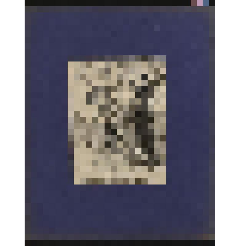 К портрету Н.С. Худекова. Шарж Михайлова. Под изображением стихи