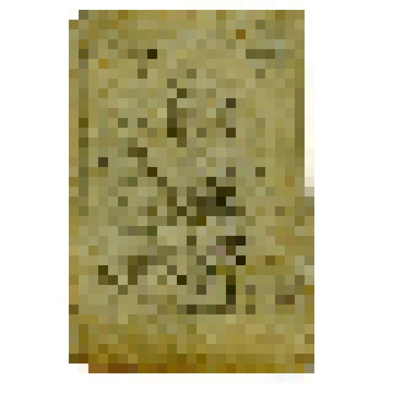 Иконный образец. Богоматерь Грузинская