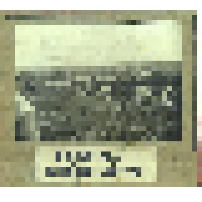 Фотография. «Общий вид Самайкинской суконной фабрики»