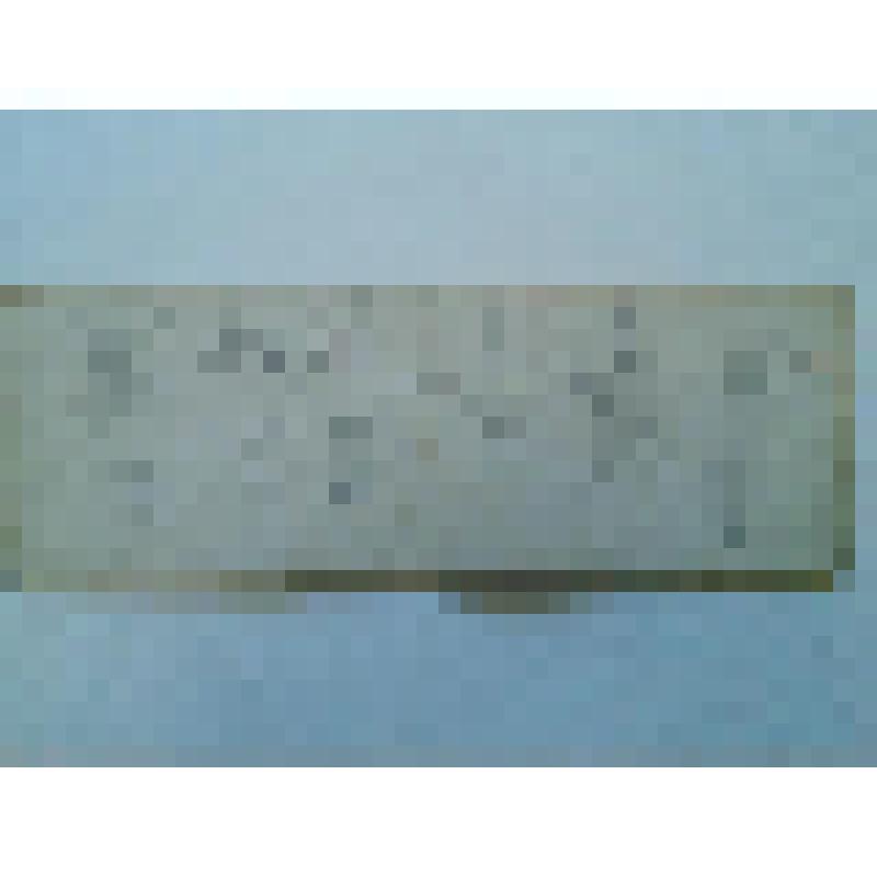 из альбома. Фасад мавзолея в византийском стиле. Фрагменты резных архитектурных деталей колонн, вимпергов, окон и карнизов