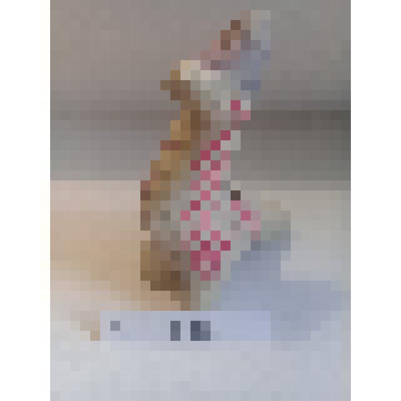 Кожлянская глиняная игрушка