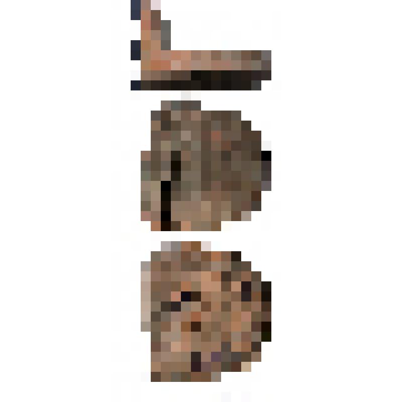 Фрагмент терракоты