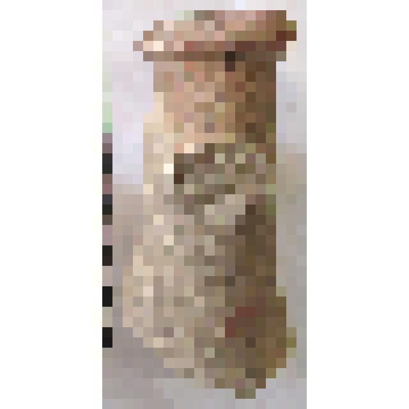 Горло верхняя часть амфоры типа D с дипинти