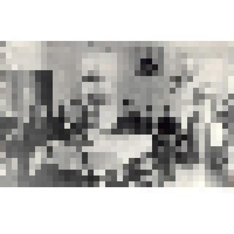 Фотография. Потомки Якушкина Ивана Дмитриевича за чаепитием (квартира Вячеслава Евгеньевича Якушкина, внука декабриста)