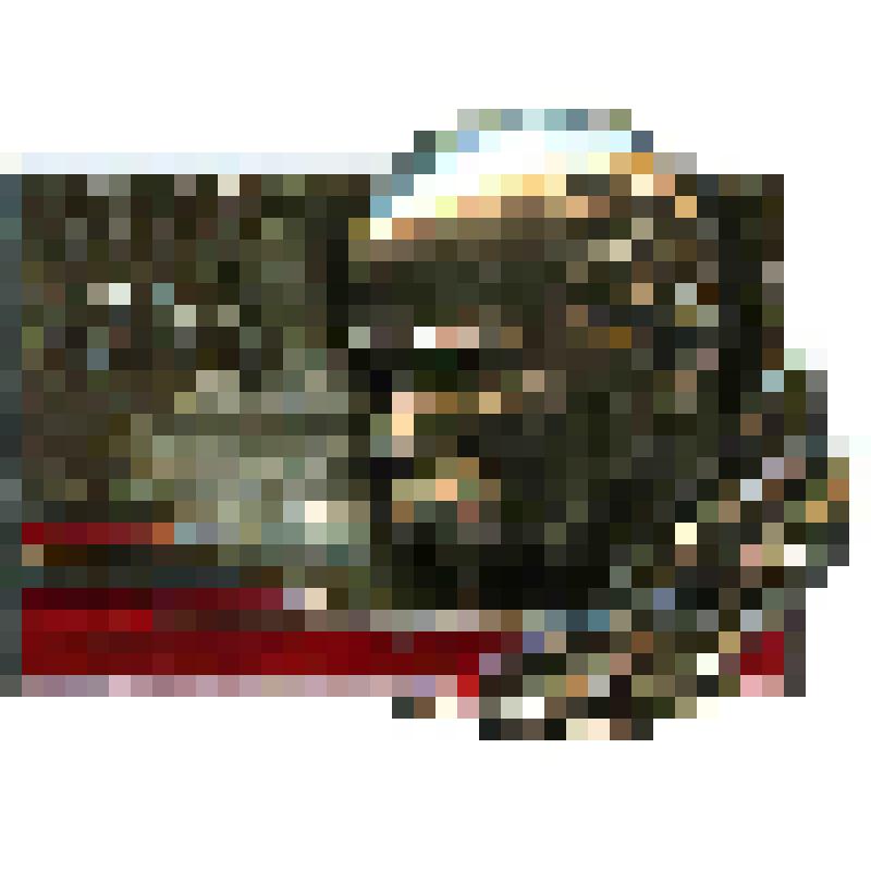 Значок. Шевченко Т.Г. на булавке. СССР