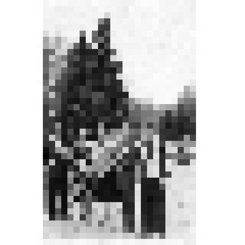 Фотография Голышевой   Нины     Матвеевны     на    встрече ветеранов на   Мамаевом Кургане