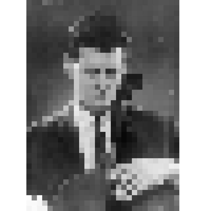 Негатив. Хую вон де Велде - бельгийский виолончелист