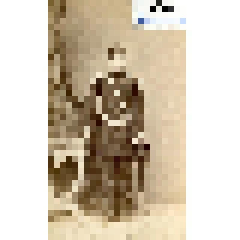 Фотография черно-белая. Баранеус Николай Павлович