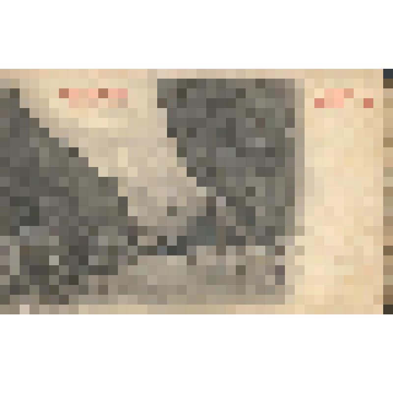 Кавказ. Военно- Грузинская дорога. Близ станции Балты